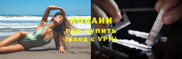 шишки Майский