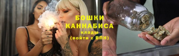 шишки Майский