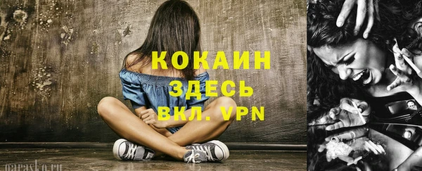 шишки Майский