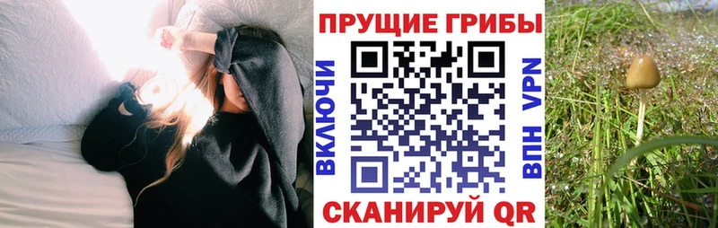 Галлюциногенные грибы мицелий  Красногорск 